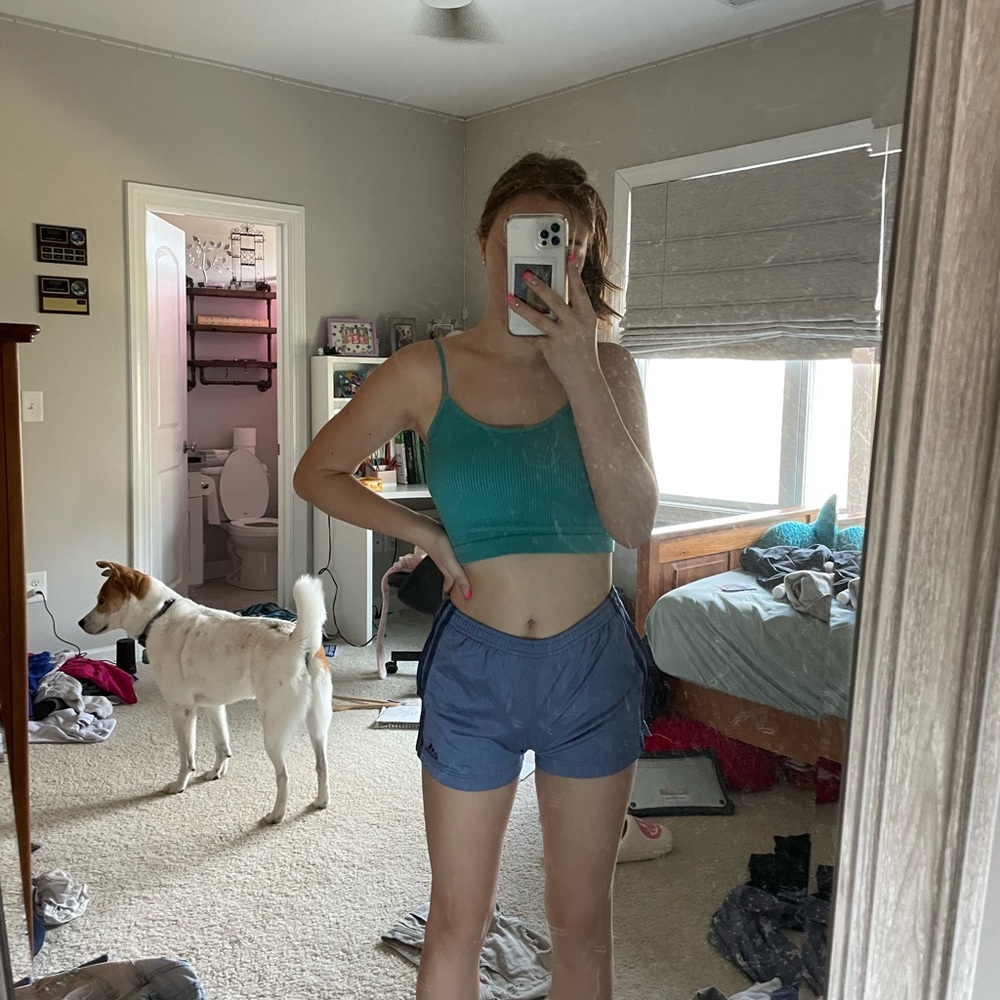 blue/purple adidas shorts